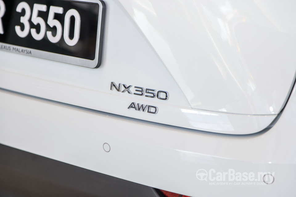 Lexus NX AZ20 (2022) Exterior